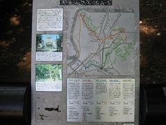 梅林＠大倉山公園